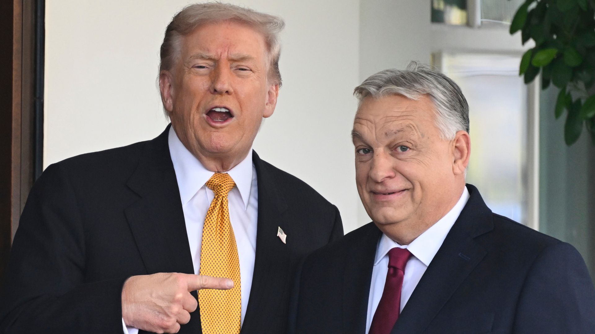Trump exempts Hungary from US sanctions on Russian energy after meeting Orban