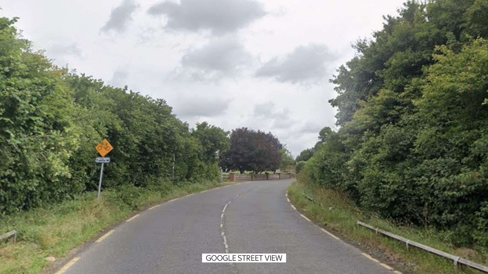 Three men and two women in their 20s have died in car crash, Irish police say