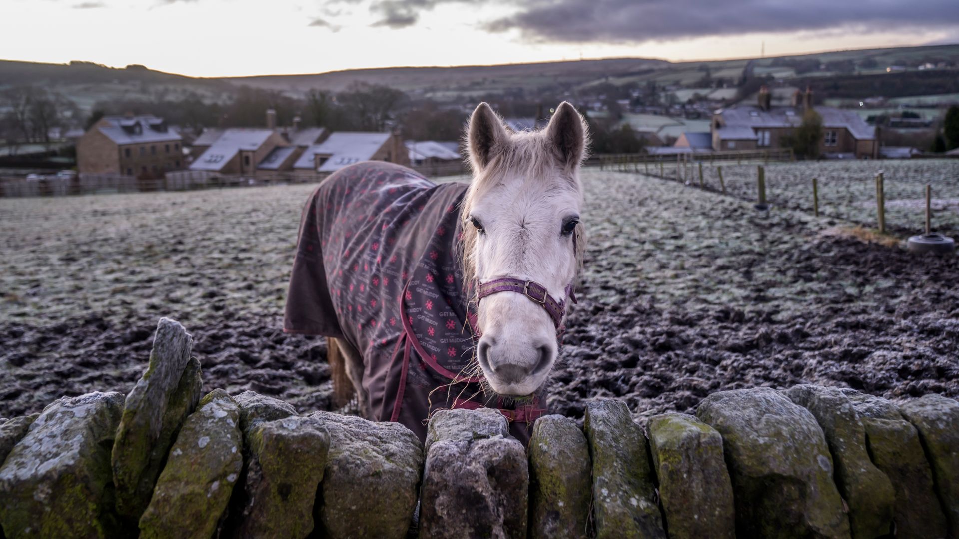 Snowfall expected across much of UK as new warnings issued
