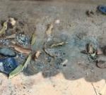 Mother and infant burnt to death in Indian state over witchcraft allegations