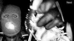 FBI releases description of suspect in Nancy Guthrie kidnapping