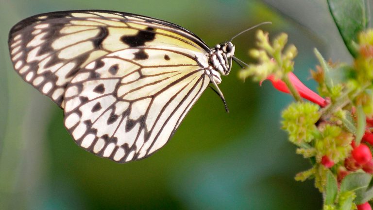 Historical figures like Churchill and Shakespeare to be replaced on banknotes