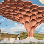 What future do you want for Sycamore Gap tree?