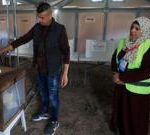 Palestinians in West Bank and some in Gaza vote in local elections