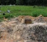 Bodies of 50 infants dumped at Trinidad graveyard