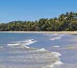 Man killed in shark attack off Australia's north-east coast