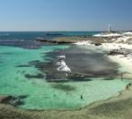 Man killed by 13ft great white shark in Western Australia