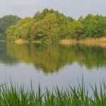 Body found in search for teenager who went missing in Cheshire lake during hot weather