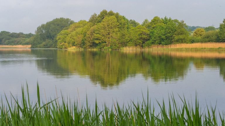 Body found in search for teenager who went missing in Cheshire lake during hot weather