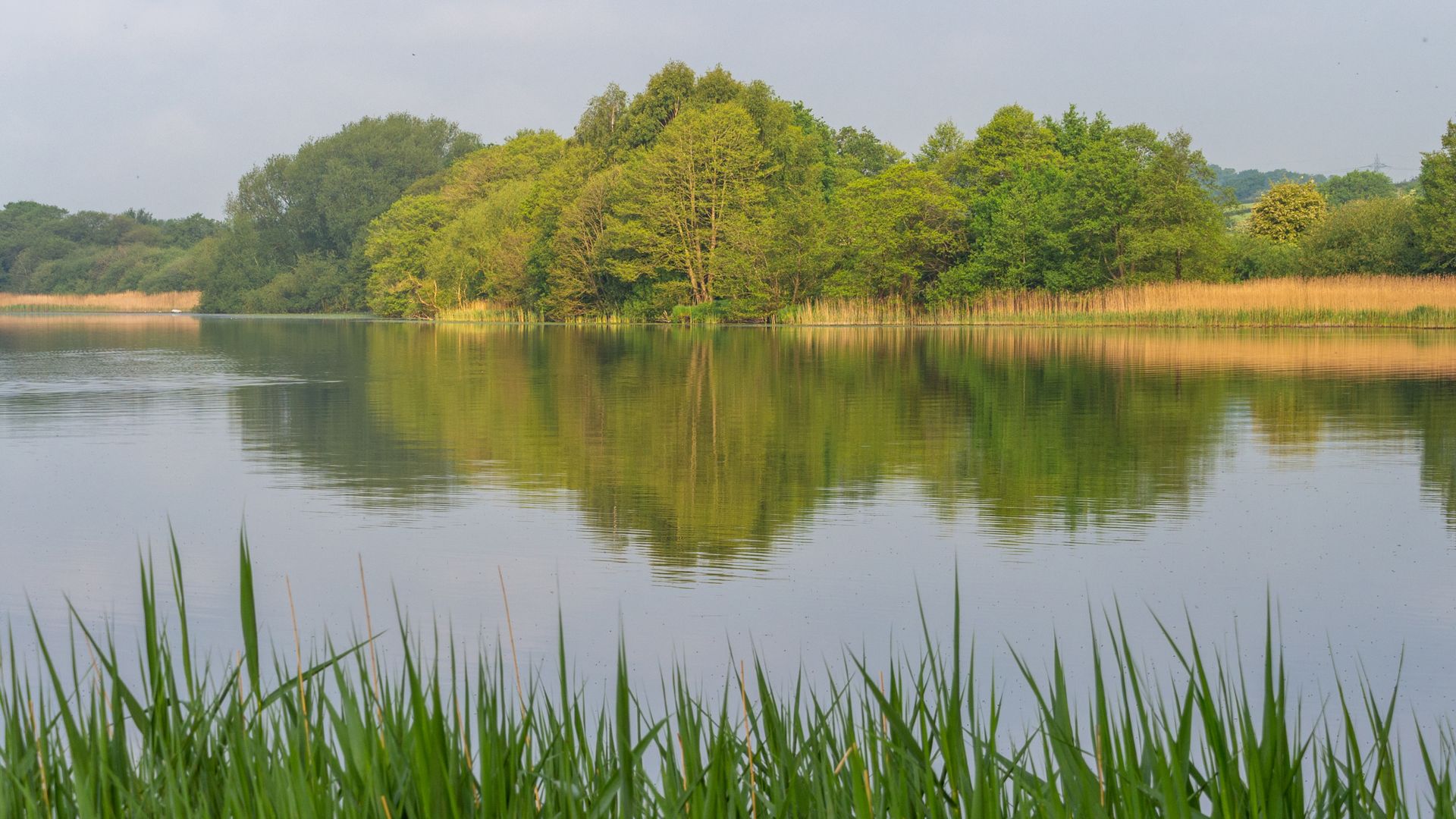 Body found in search for teenager who went missing in Cheshire lake during hot weather