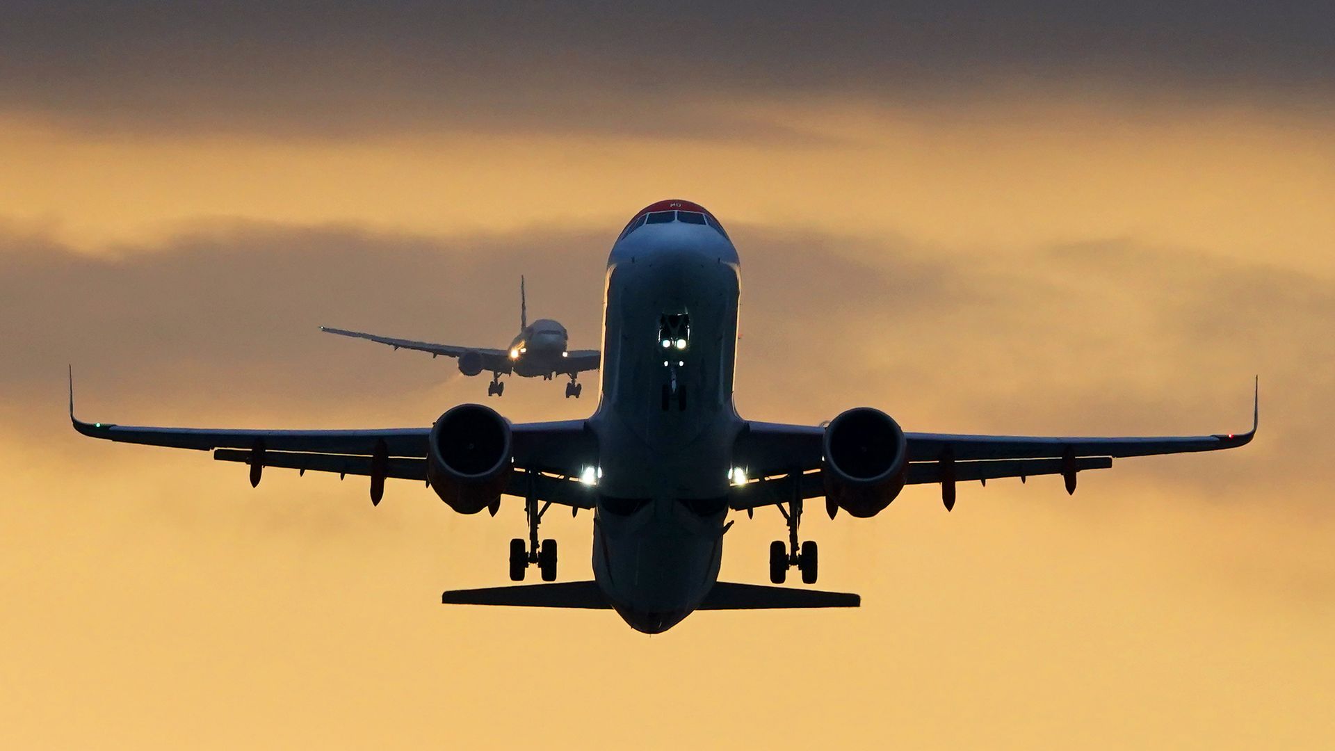 Disruptive passengers could be banned from all flights under government plan