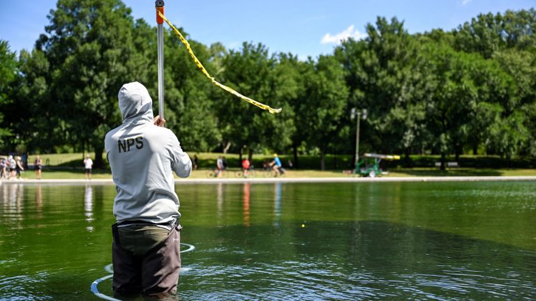 'Vandals arrested' as Trump's $14m reflective pool project sees it turn green again