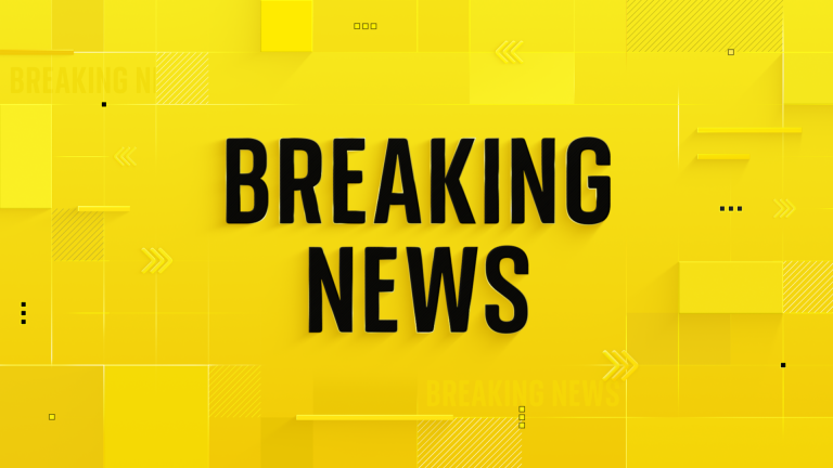 Two dead after light aircraft crashes in Essex during 'short flight experience'