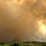 Crews tackle major fire on protected heathland in the New Forest
