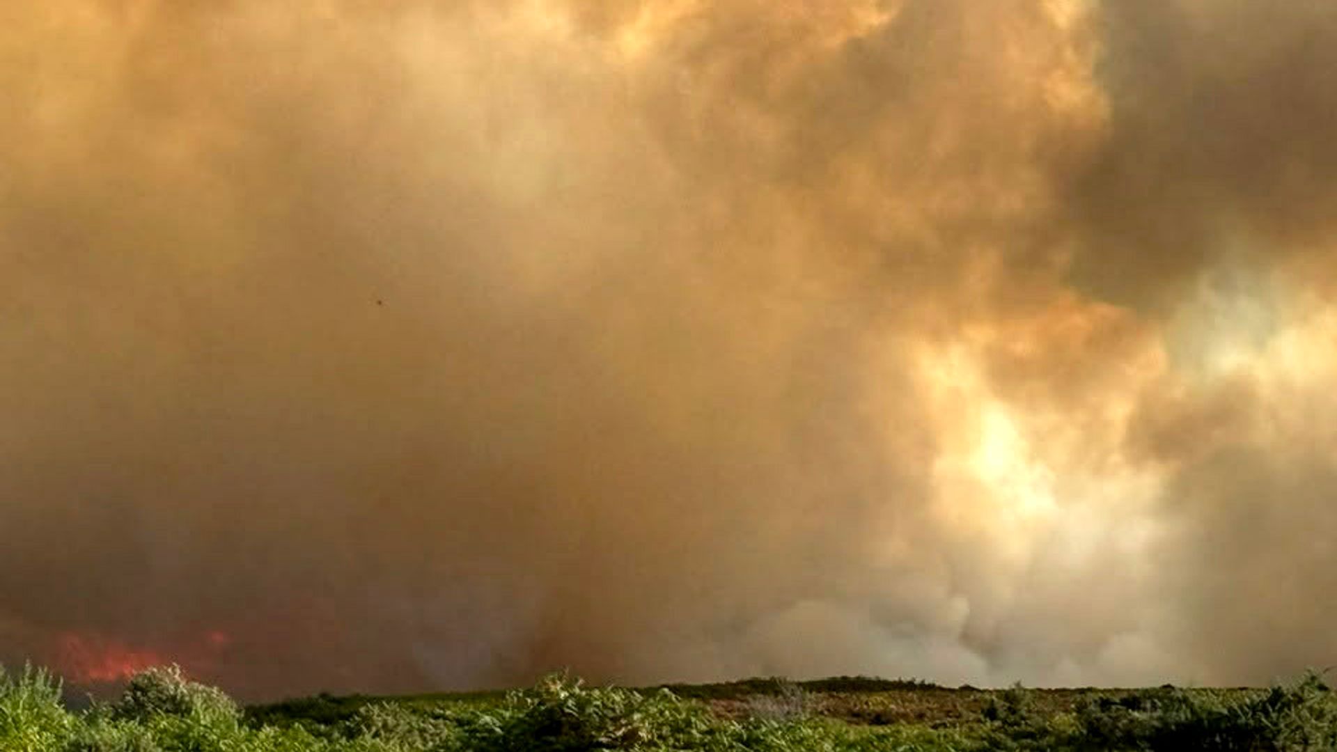 Crews tackle major fire on protected heathland in the New Forest