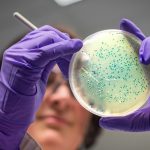 Salmonella outbreak leaves one dead and hundreds ill