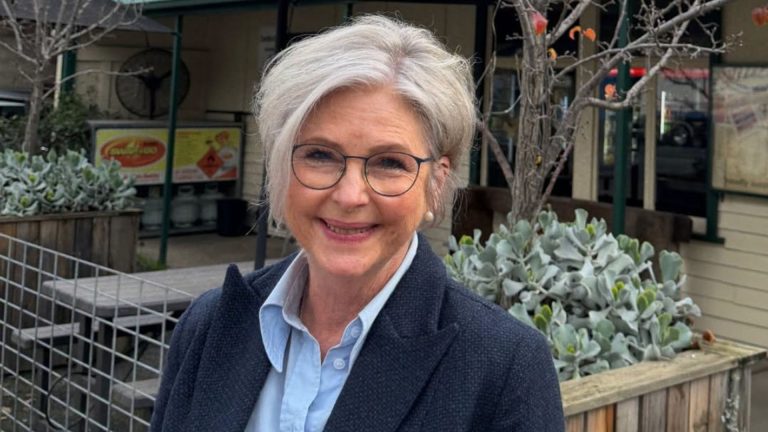 Man charged after Australian MP struck by vehicle