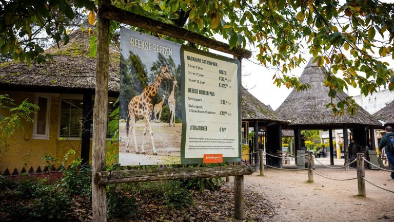 Zookeeper dies after leopard attack
